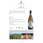 Vermentino Toscano IGT  2020 BellOvile Serego Alighieri 