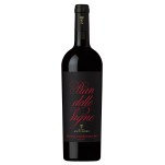 Brunello di Montalcino DOCG 2017 Pian delle Vigne 